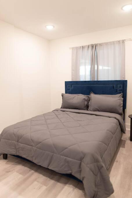 Platinum Palace 1Br 1Ba - Central Dallas Stay Exteriér fotografie