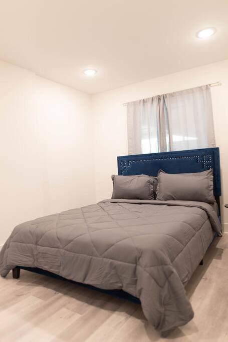 Platinum Palace 1Br 1Ba - Central Dallas Stay Exteriér fotografie